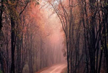 CBA第42轮积分排名！山东挤掉新疆，辽篮重回第5，季后赛名单出炉.