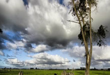 椰风剪影 ｜ 闭幕了，把体育盛会精彩瞬间剪给你新华社.